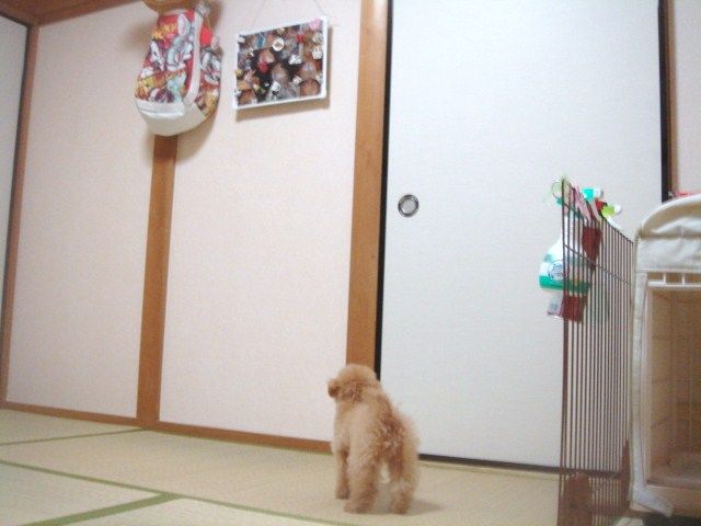 イメージ 6