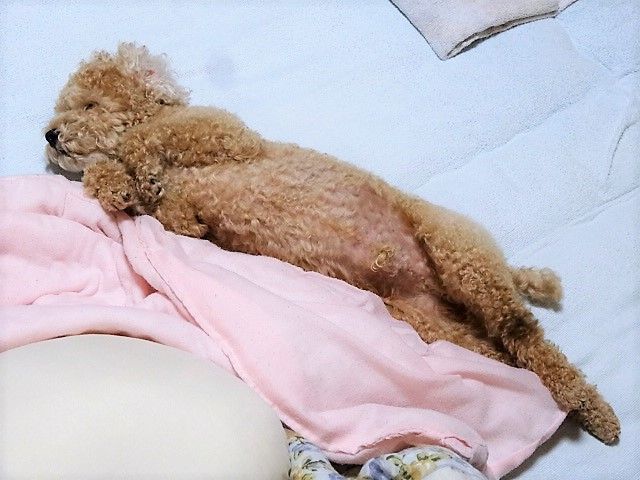 イメージ 9