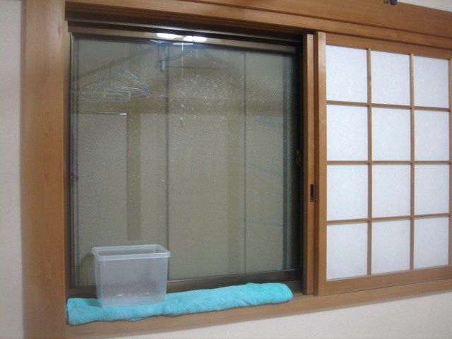 イメージ 6
