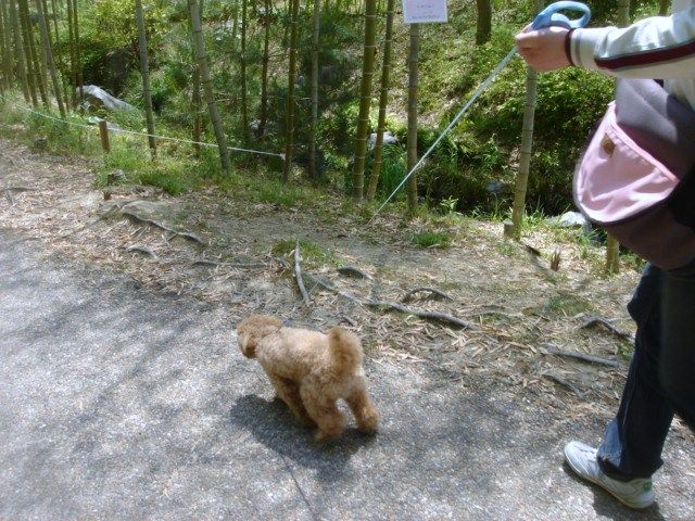 イメージ 12