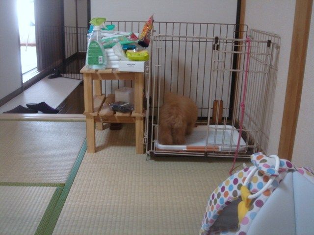 イメージ 8