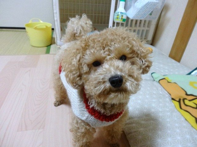 イメージ 4