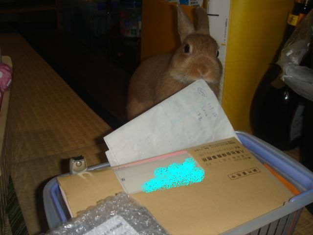 イメージ 8