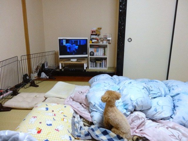 イメージ 5