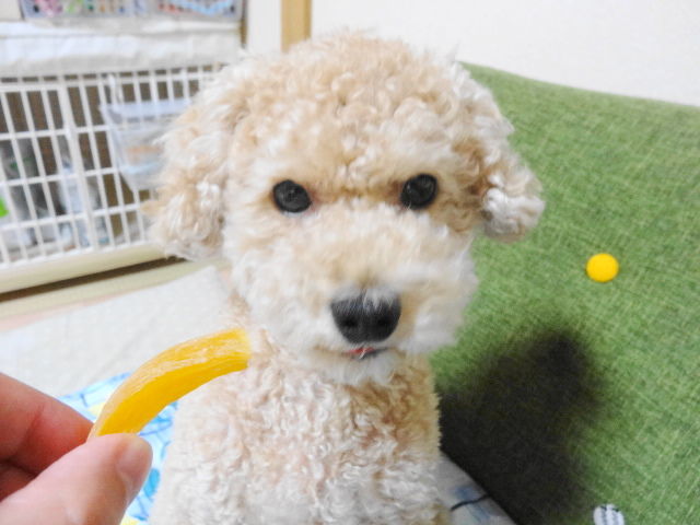 イメージ 8