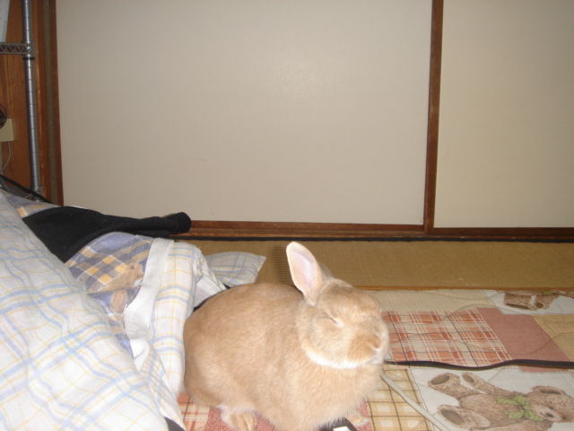 イメージ 2