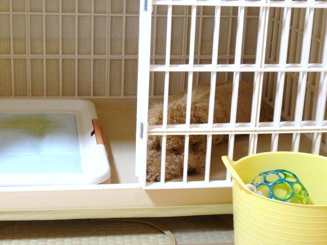 イメージ 8