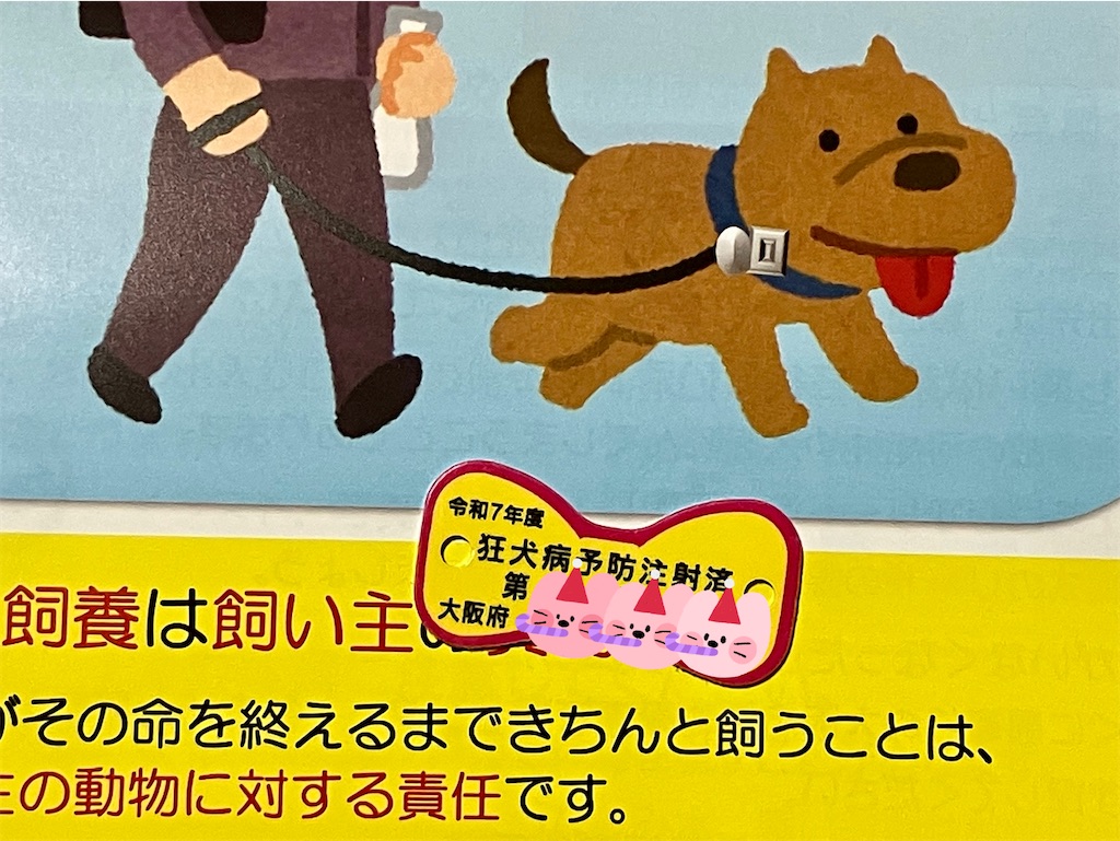 f:id:duckcar:20250412092150j:image