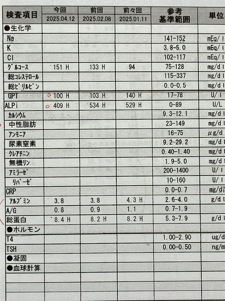 f:id:duckcar:20250412143102j:image
