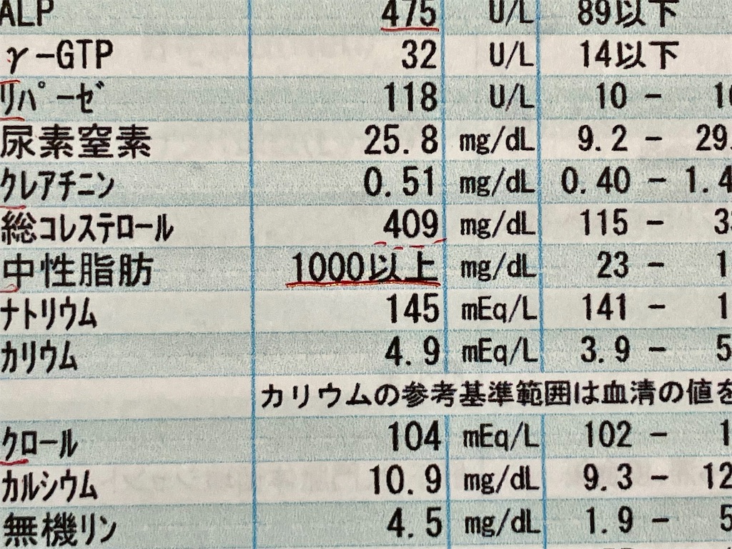 f:id:duckcar:20250412143110j:image