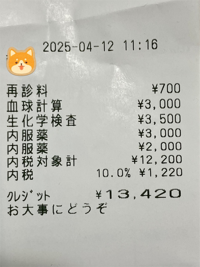 f:id:duckcar:20250412143113j:image