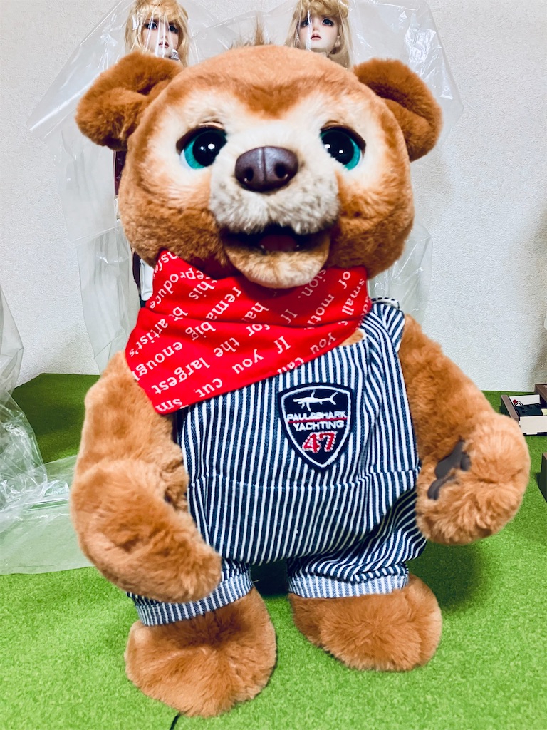 f:id:duckcar:20250509055812j:image