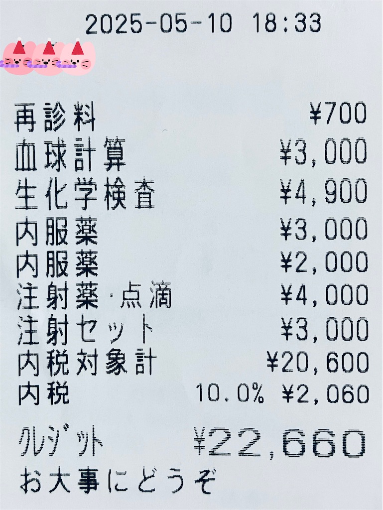f:id:duckcar:20250511053409j:image