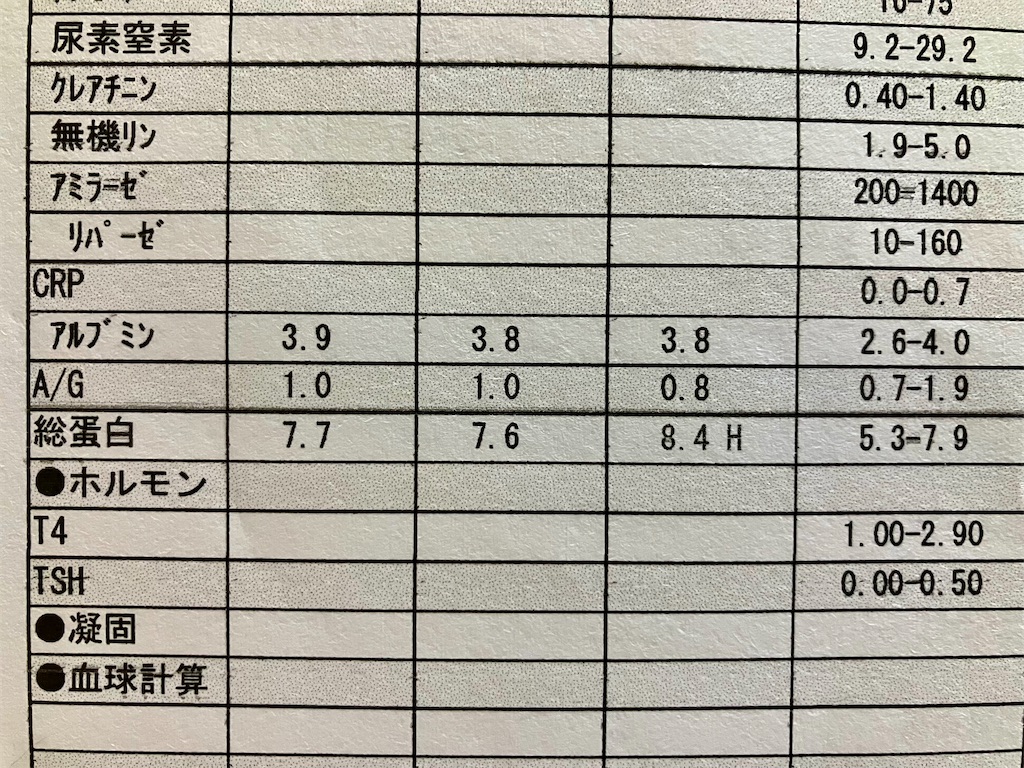 f:id:duckcar:20250607161933j:image