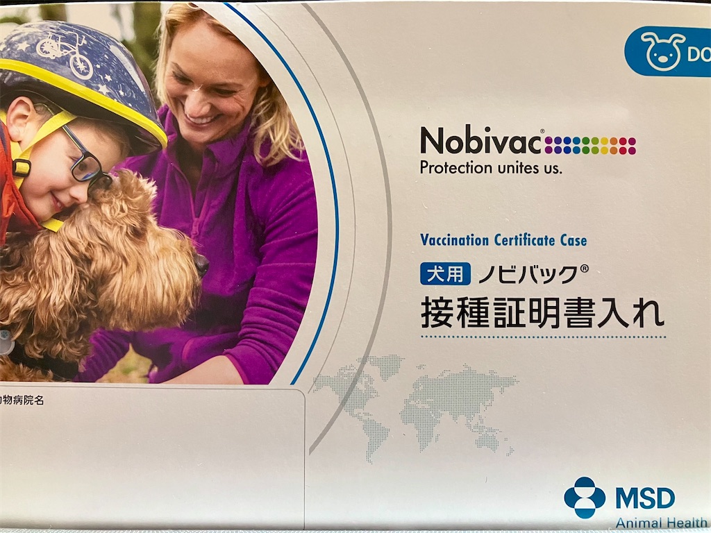 f:id:duckcar:20250607161940j:image