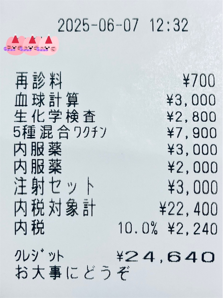 f:id:duckcar:20250607161943j:image