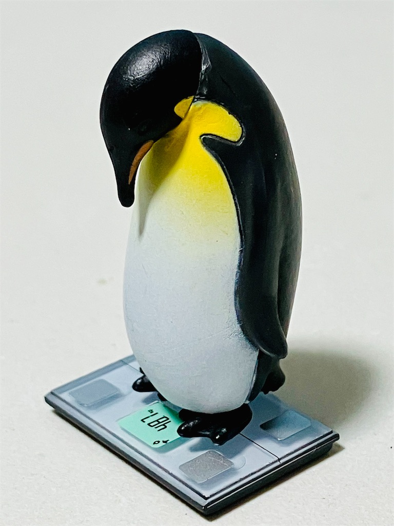 f:id:duckcar:20250616063716j:image