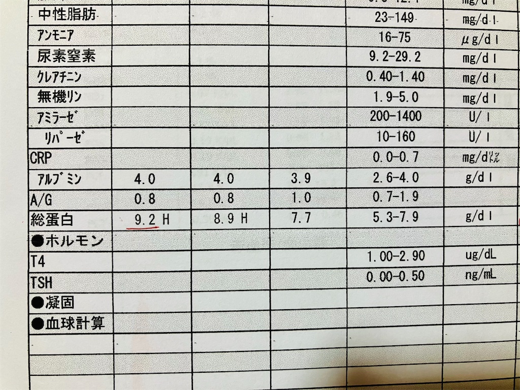 f:id:duckcar:20250803062348j:image