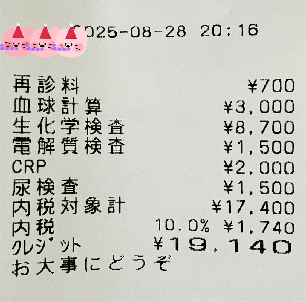 f:id:duckcar:20250829060821j:image