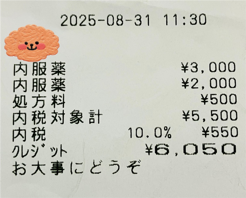 f:id:duckcar:20250831142904j:image