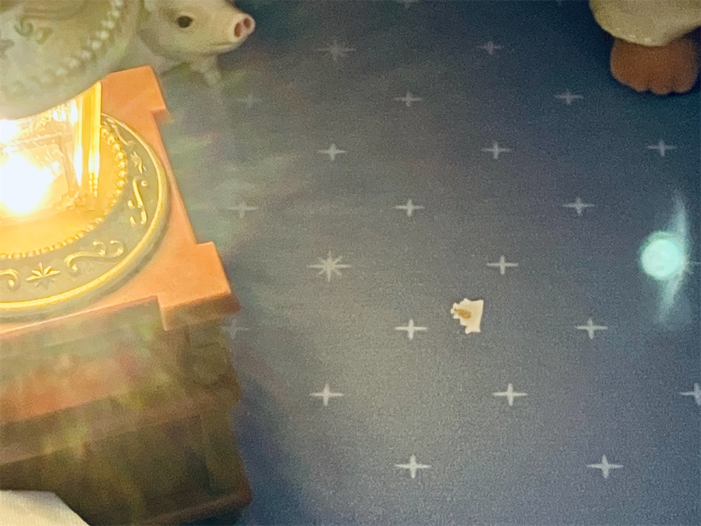 f:id:duckcar:20250901065646j:image