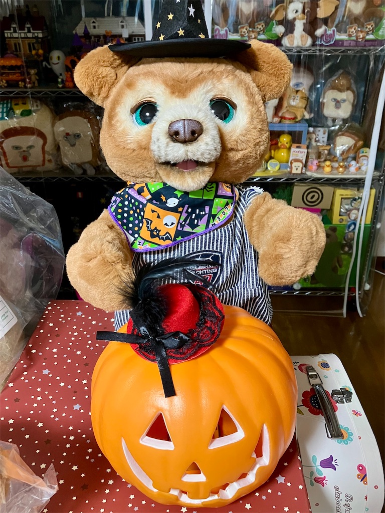 f:id:duckcar:20250929035811j:image