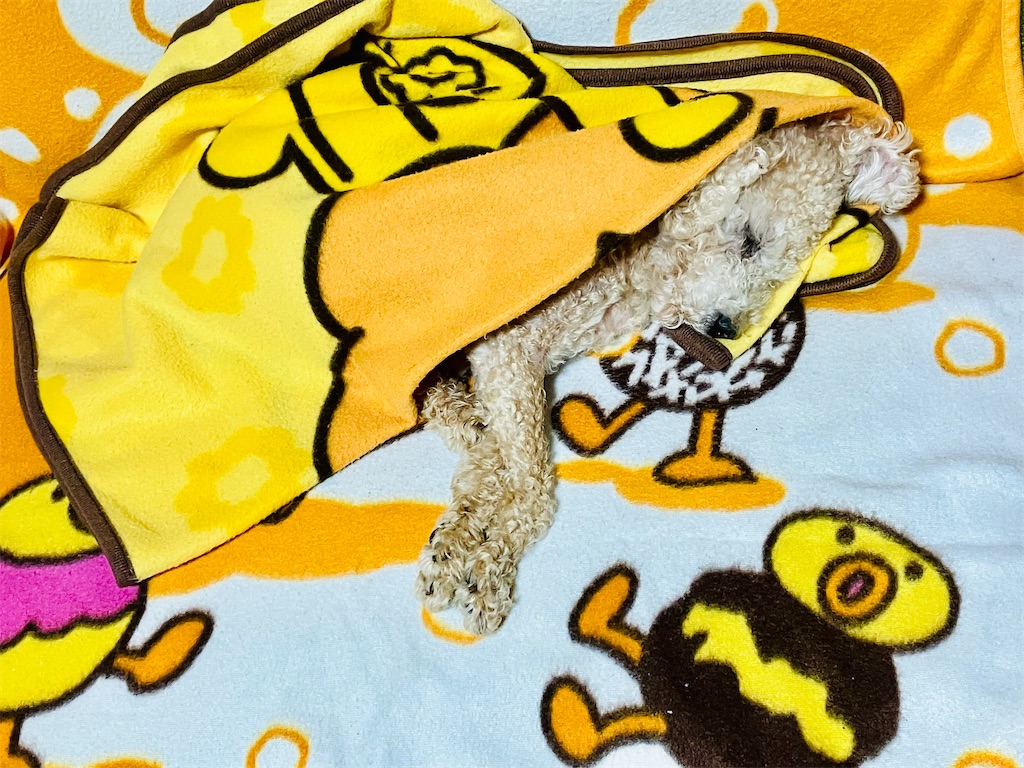f:id:duckcar:20251105102048j:image