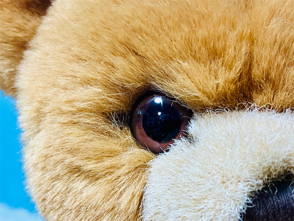 f:id:duckcar:20260103145222j:image