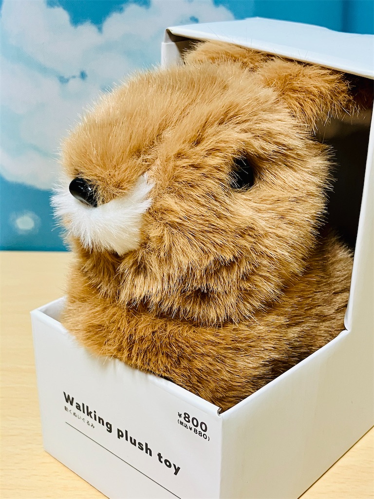f:id:duckcar:20260104160604j:image f:id:duckcar:20260104160604j:image