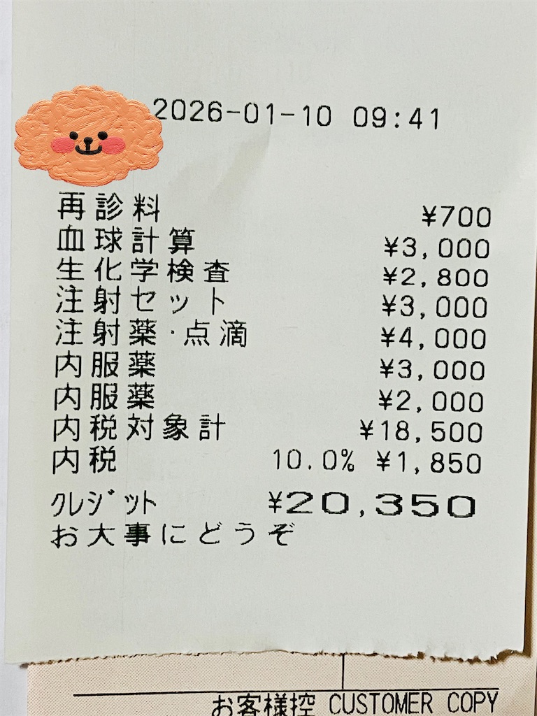 f:id:duckcar:20260111064838j:image