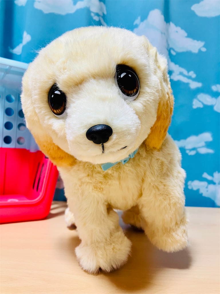 f:id:duckcar:20260122153217j:image