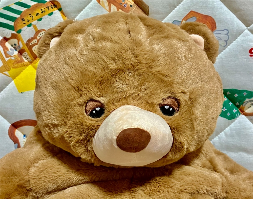 f:id:duckcar:20260130153516j:image