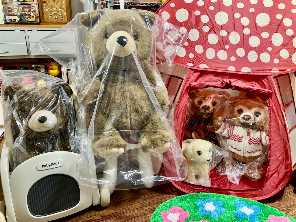 f:id:duckcar:20260201061927j:image
