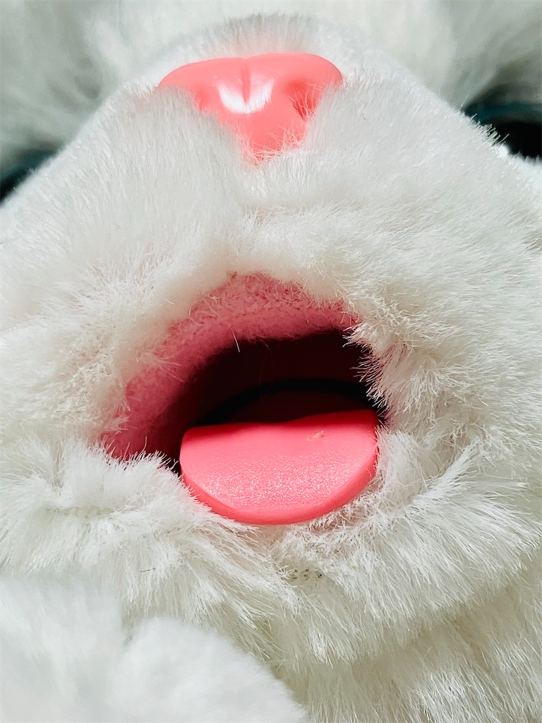 f:id:duckcar:20260216075543j:image