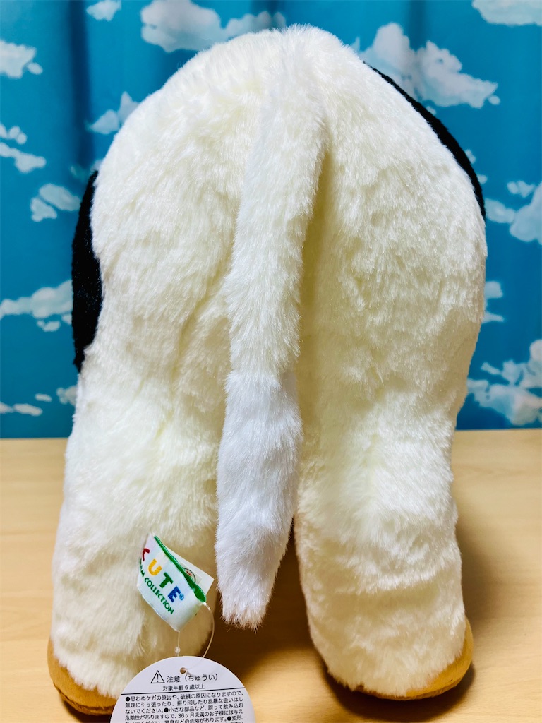 f:id:duckcar:20260226063711j:image