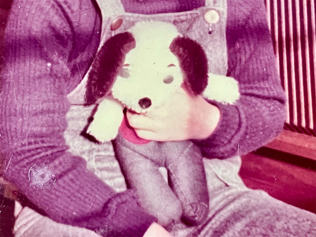 f:id:duckcar:20260304082510j:image