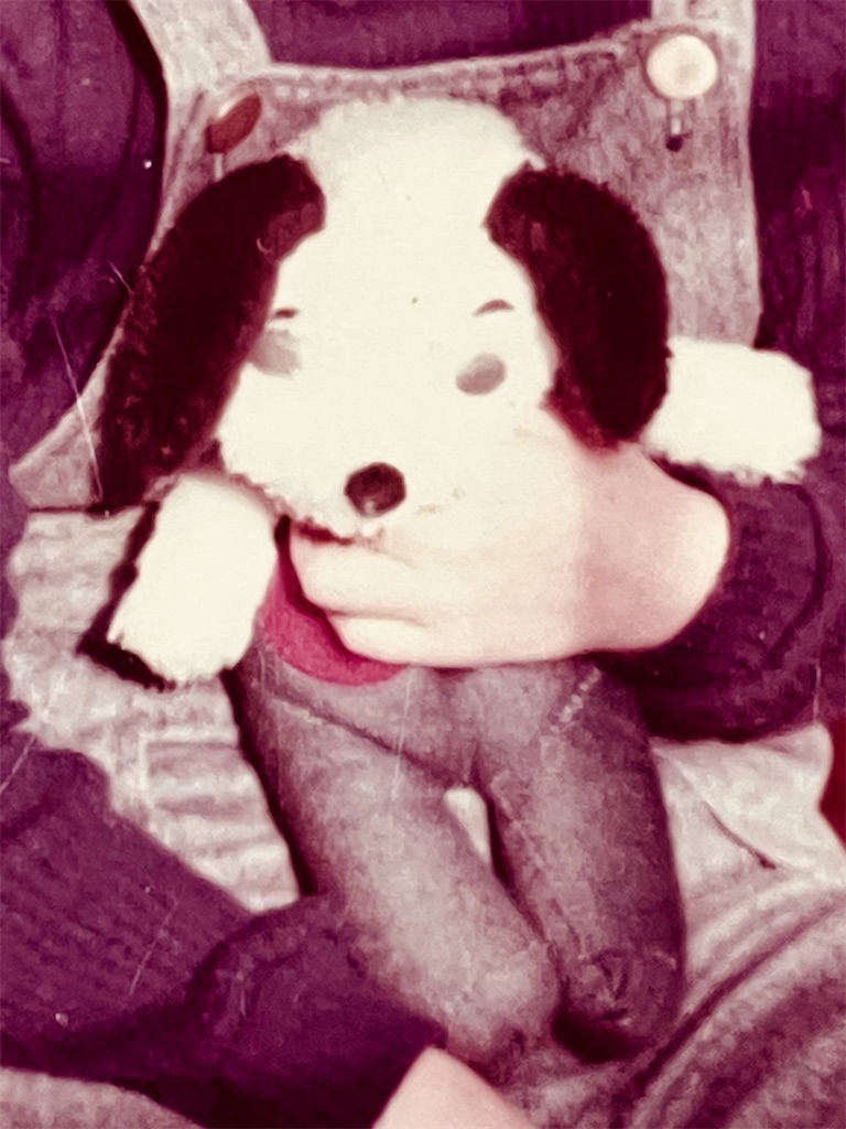 f:id:duckcar:20260304082513j:image