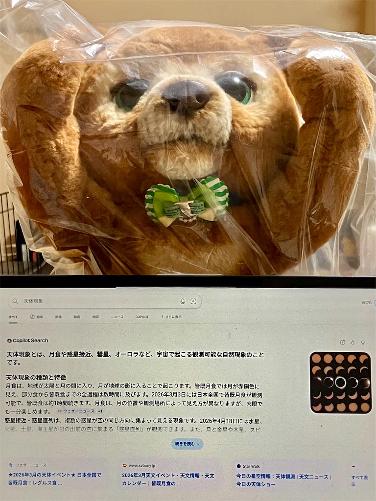 f:id:duckcar:20260314060652j:image