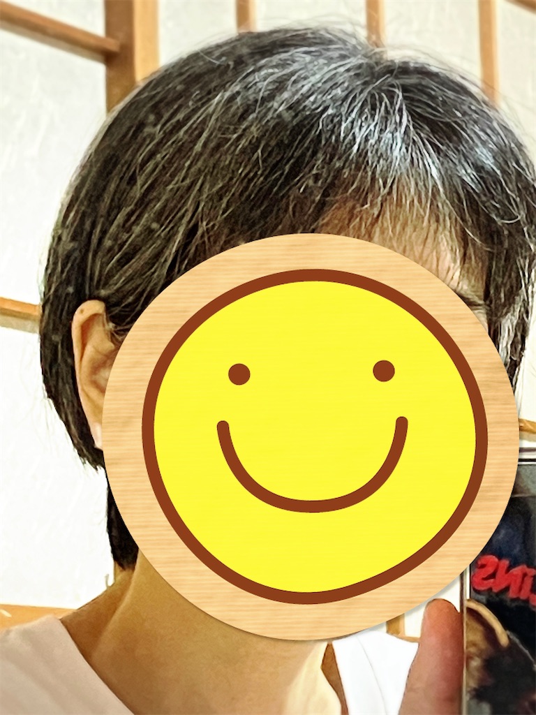 f:id:duckcar:20260616065124j:image