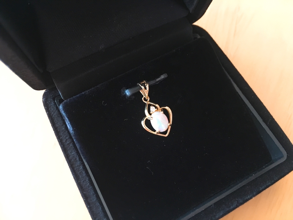 f:id:duckrin0719:20190130214814j:plain