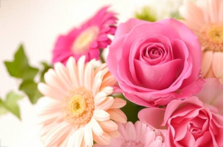 f:id:duckrin0719:20200516164344j:plain f:id:duckrin0719:20200516164344j:plain