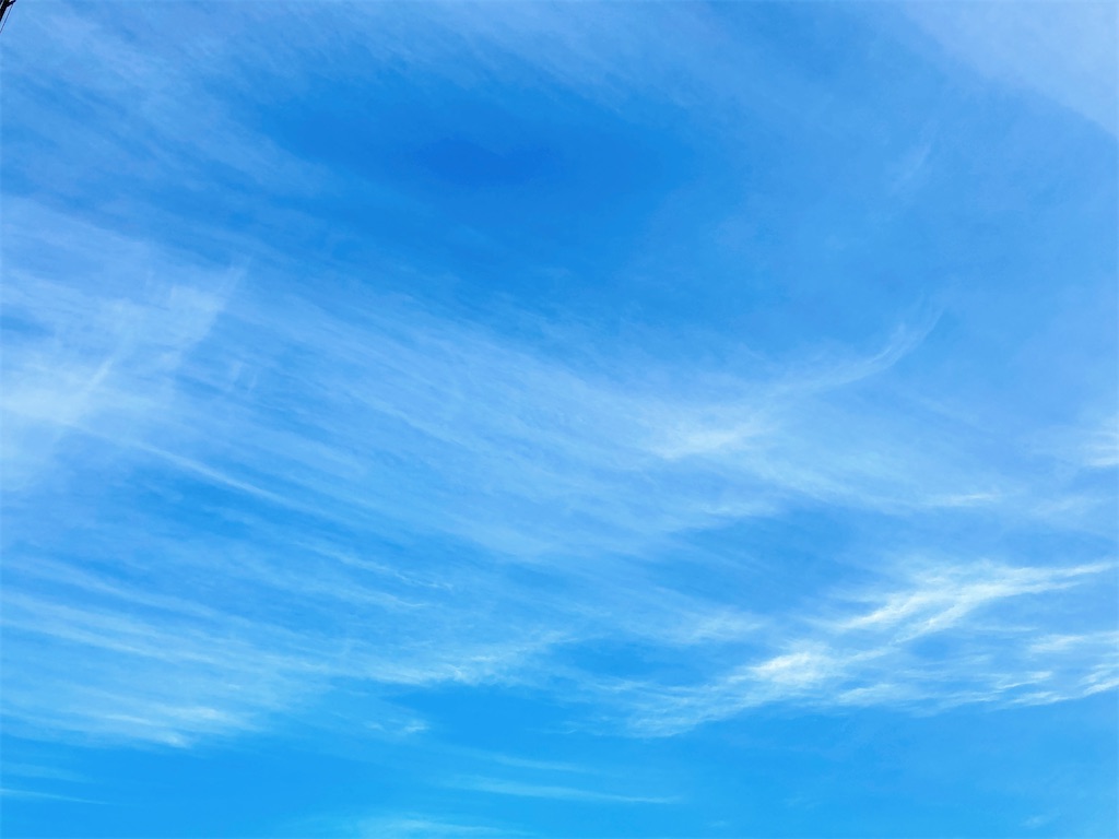 f:id:duckrin0719:20201019212355j:image