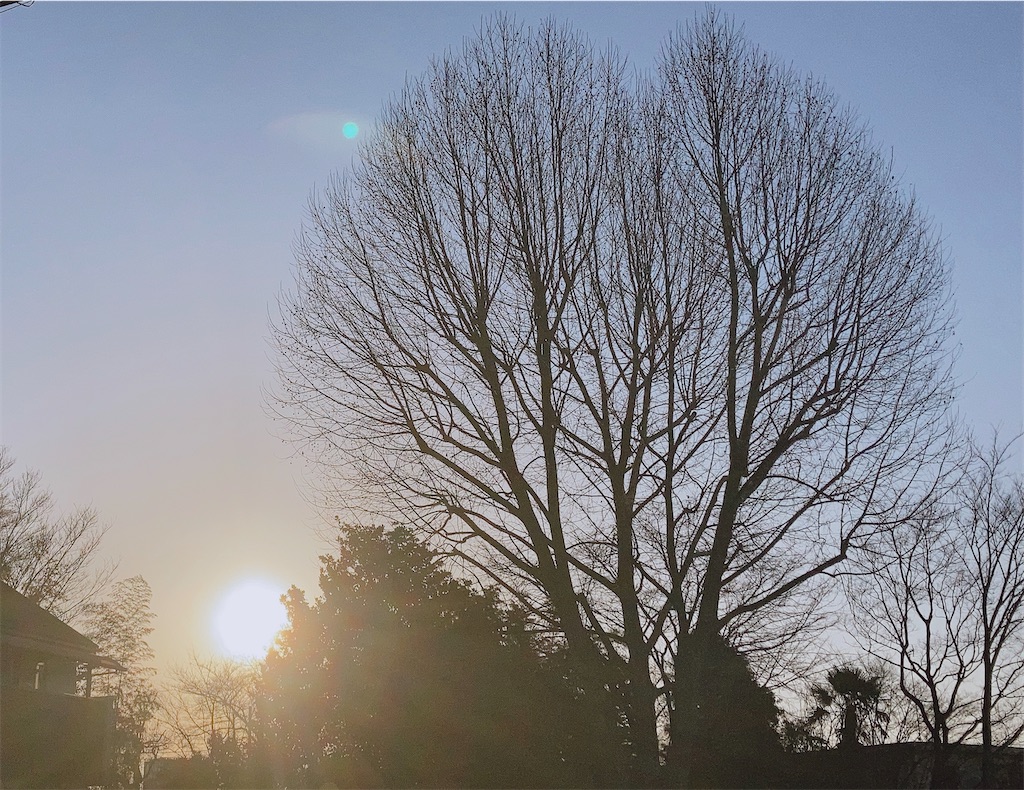 f:id:duckrin0719:20210228073036j:image