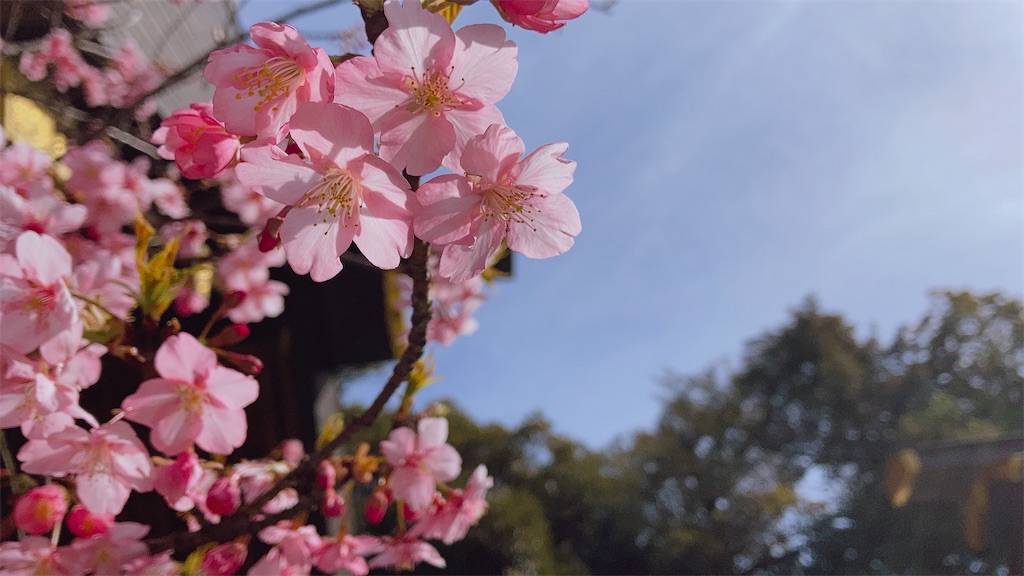 f:id:duckrin0719:20210228073122j:image