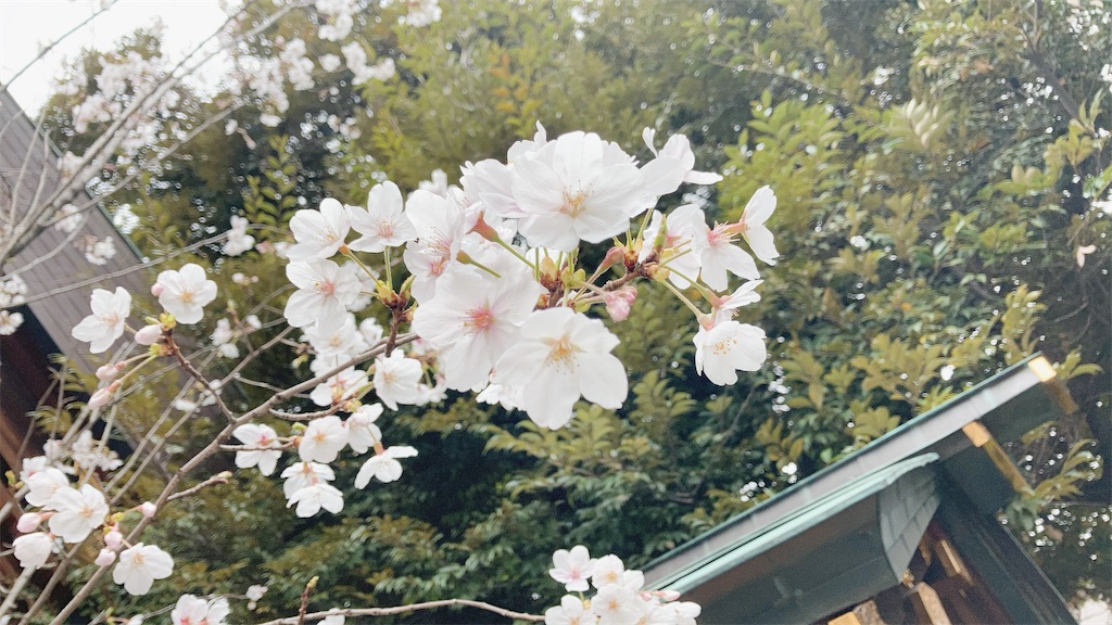 f:id:duckrin0719:20210331070139j:image