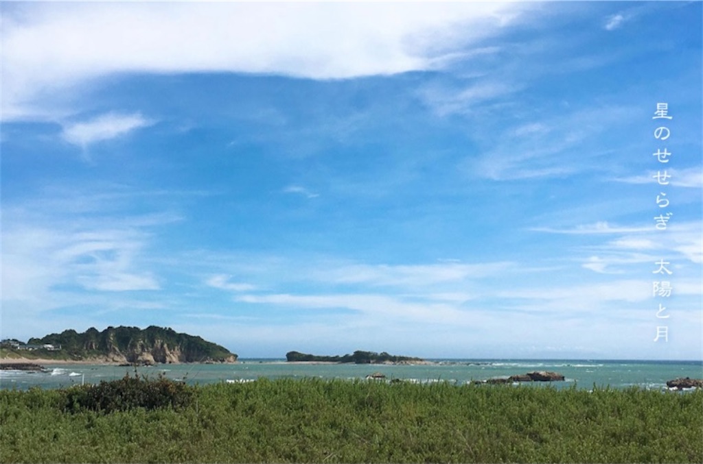 f:id:duckrin0719:20210515144317j:image f:id:duckrin0719:20210515144317j:image