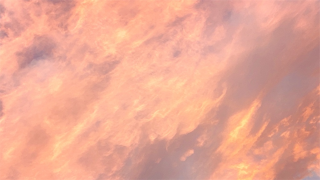 f:id:duckrin0719:20210818065612j:image