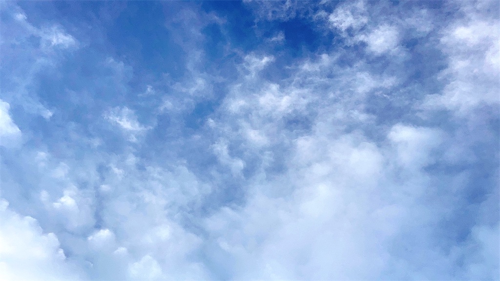 f:id:duckrin0719:20210818065619j:image