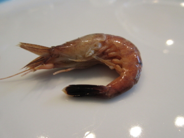 f:id:ducky26:20160614173608j:plain