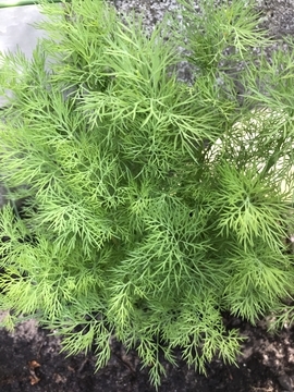 f:id:ducky26:20190422191838j:plain f:id:ducky26:20190422191838j:plain